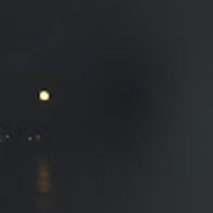 Meet your Posher, Damon